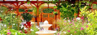 DIY-Patio-Garten "Jardin d'Oriente"